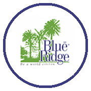 Paranjape Blue Ridge Orion Project Logo