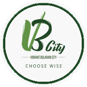 Indis VB City Project Logo
