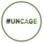 Runwal Uncage Project Logo