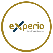 Experion Experio Project Logo