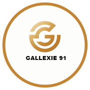 Gallexie 91 Project Logo