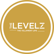 Soham The Levelz Project Logo