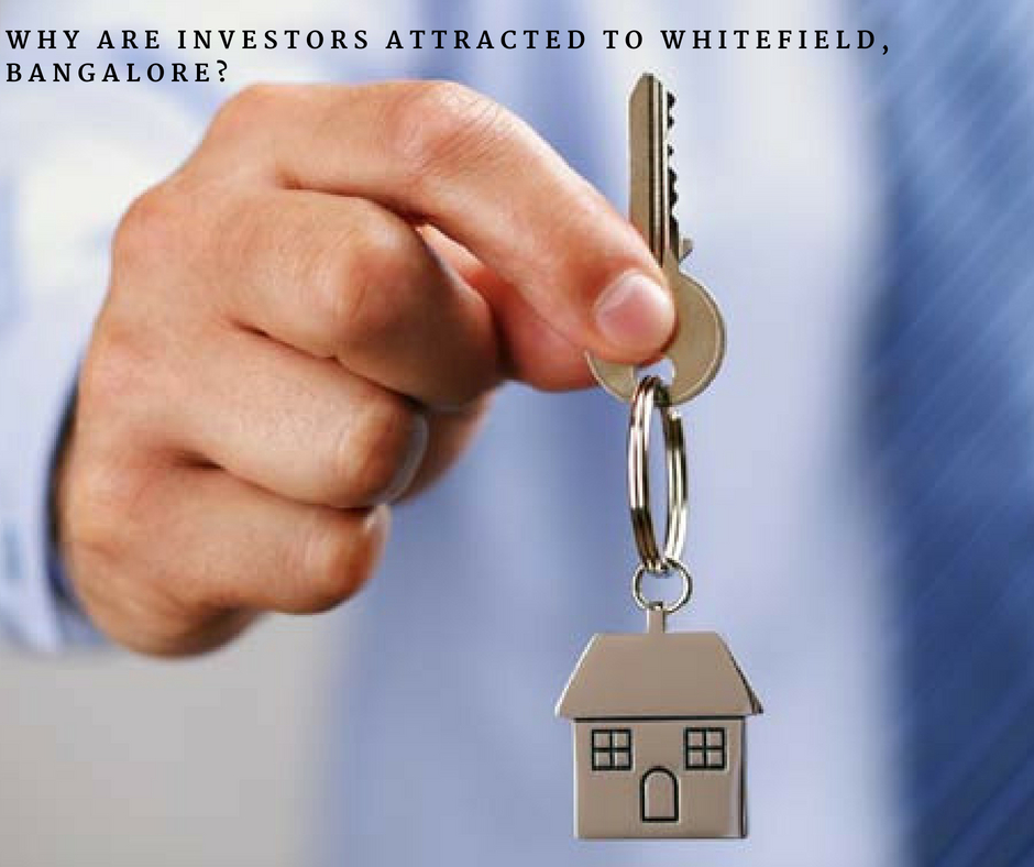 Why are investors attracted to Whitefield, Bangalore?