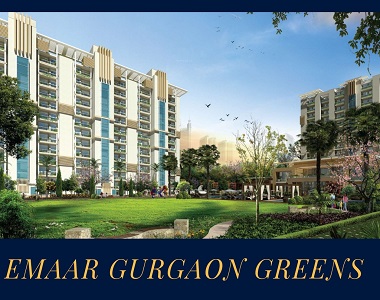 Truly Amazing and are the Best in Every Perspective in Gurgaon