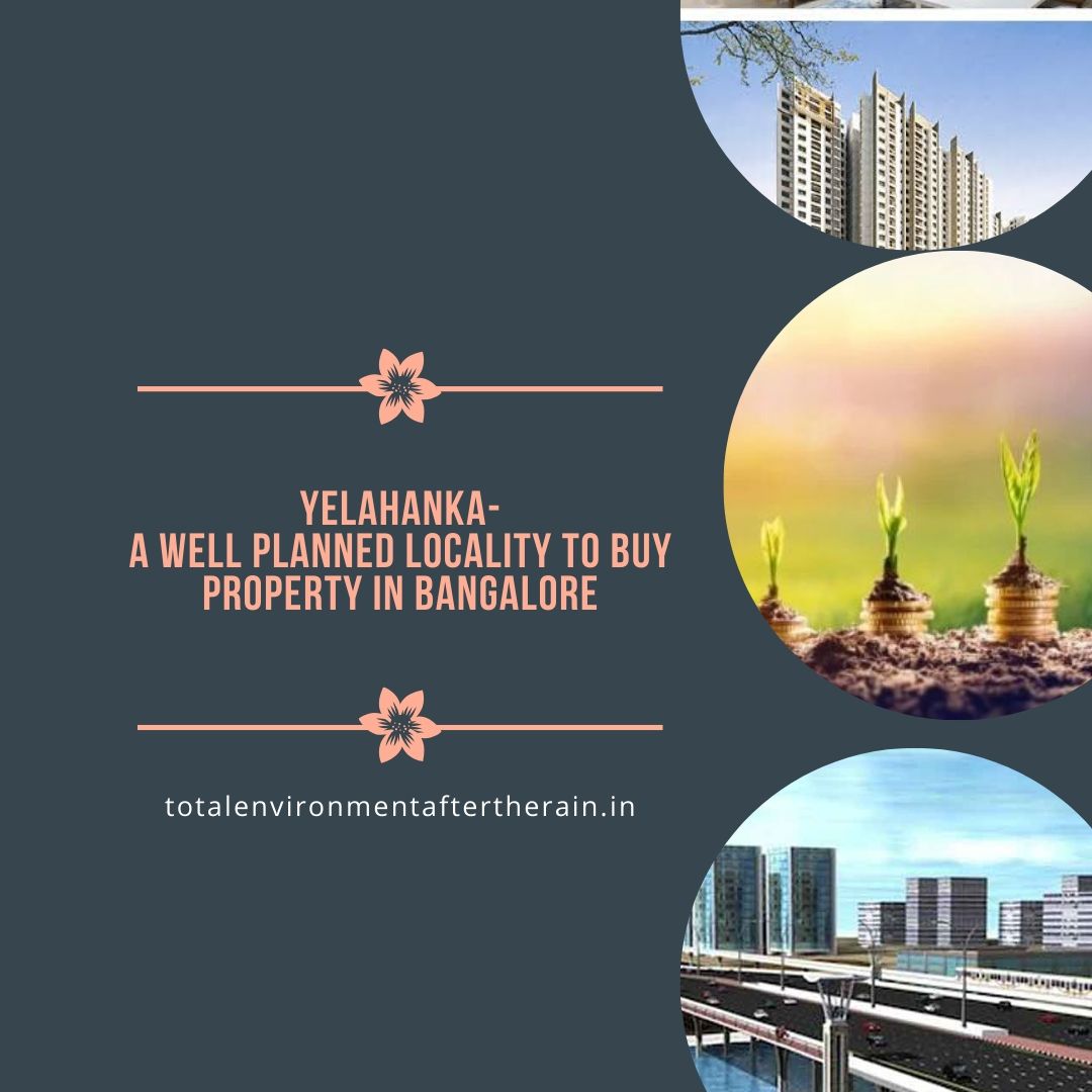 Blog Total Environment Latest News